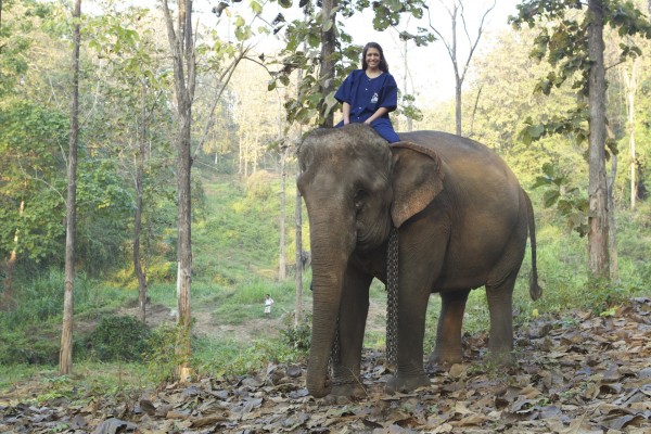 Ashley Colburn rides an elephant during a shoot for a travel program