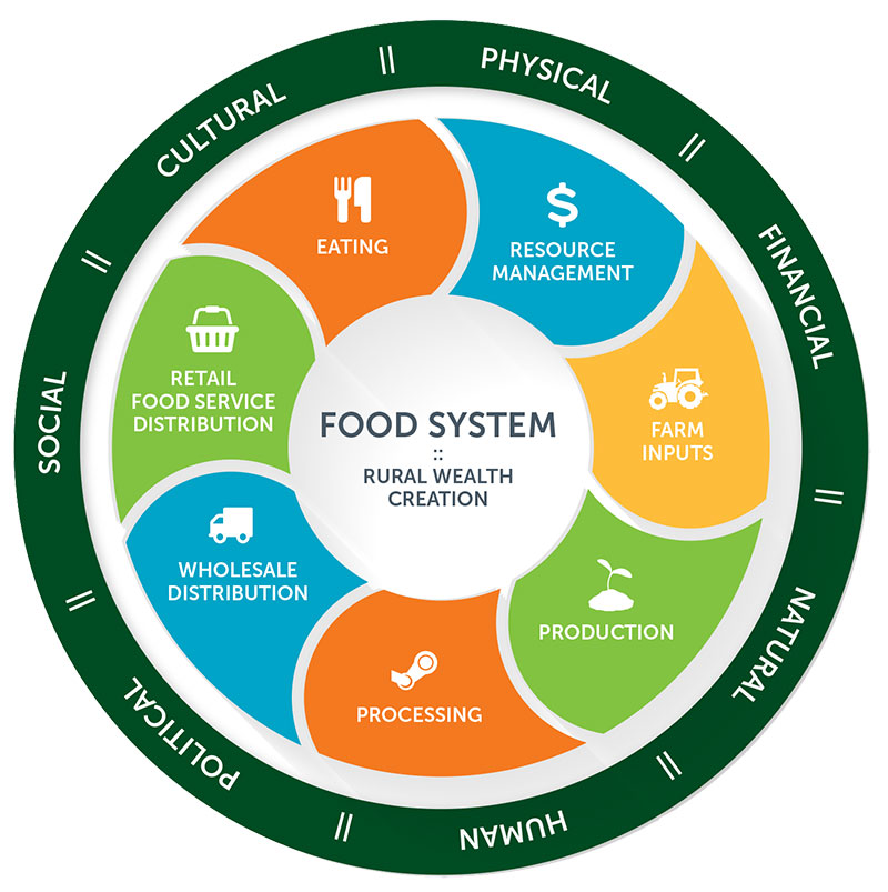 Система фуд. Food диаграмма. Food System. Food Science диаграмма. Food Retailing.