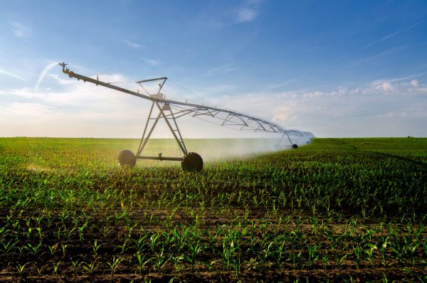 Irrigation system watering corn fields