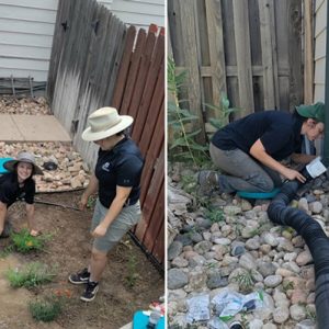 Riley Lynch planted rain gardens at nearly 20 homes across the Colorado Front Range during her CSU Extension internship