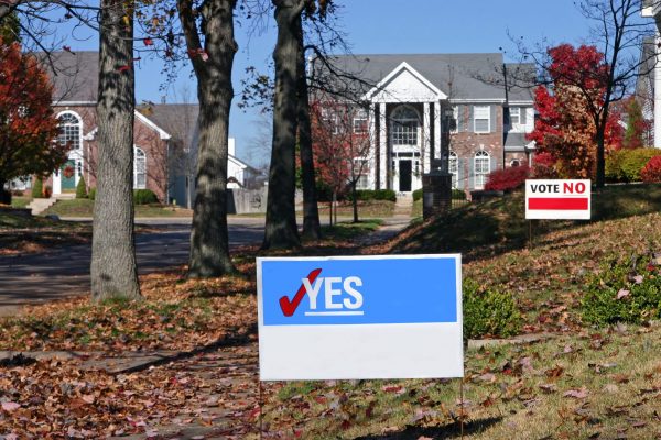 Neighborhood with election signs