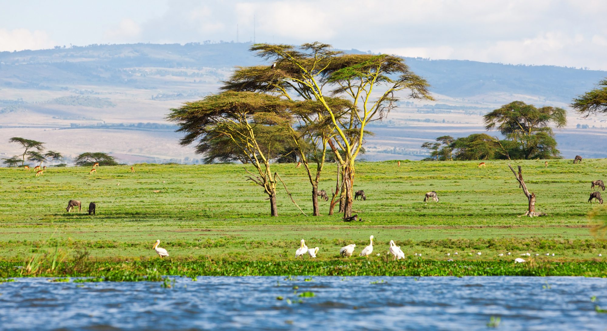 Landscape at Lake Naivasha in Kenya
