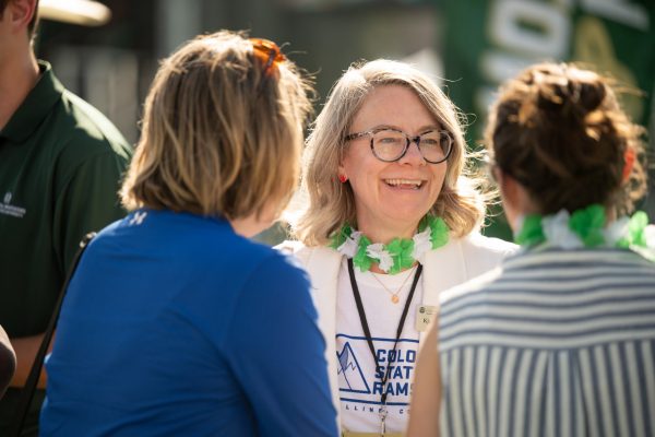 Dean Kjerstin Thorson speaking with donors